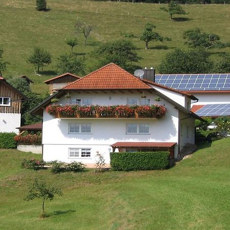 Ferienwohnung Burgblick Seelbach  Εξωτερικό φωτογραφία