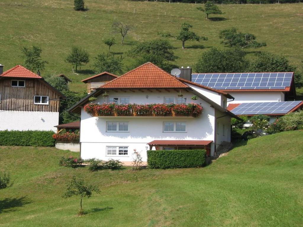 Ferienwohnung Burgblick Seelbach  Εξωτερικό φωτογραφία