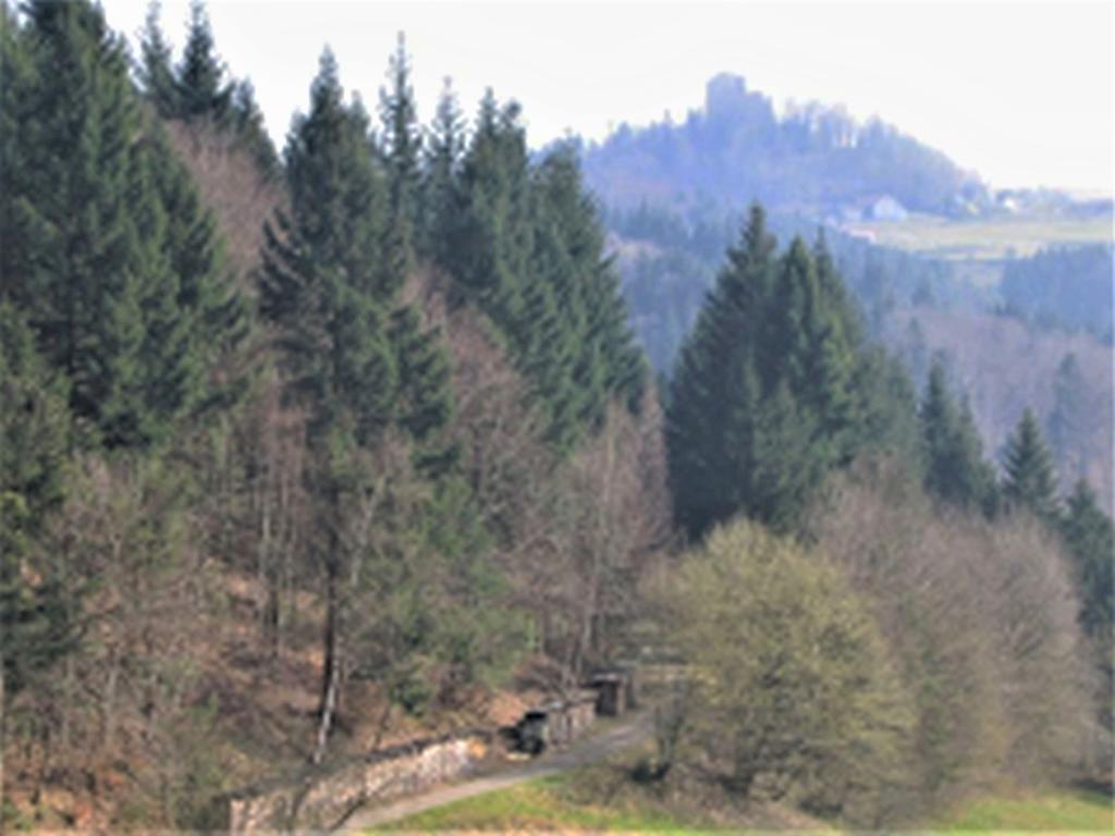 Ferienwohnung Burgblick Seelbach  Εξωτερικό φωτογραφία